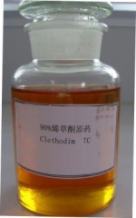 240 G/L clethodim EC Herbicide for soybean field