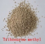 10% Tribenuron +56% MCPA NA+70% flucarbazone-sodium Herbicide for wheat field