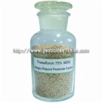 Triasulfuron 95% TC, 75% WDG