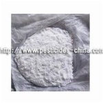 Triadimefon 95% TC 15% WP 20% EC