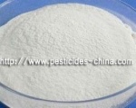 Gibberellic Acid (GA3) 20% SP