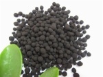 Humic Acid+ Amino Acid Granule