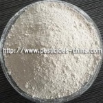 Abamectin 1.8% + Imidacloprid 40% WP