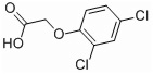 2,4-D Acid 98% TC