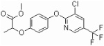 Haloxyfop-P-methyl 95% Tech,10.8%EC,24%EC