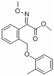 Kresoxim-methyl 95%, 25%DF, 50%DF, 30%WP, 75%WDG